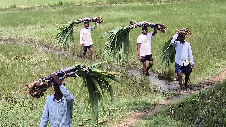 https://www.salarnews.in/public/uploads/images/newsimages/maannewsimage16102026_212403_sugarcane farmers.jpg